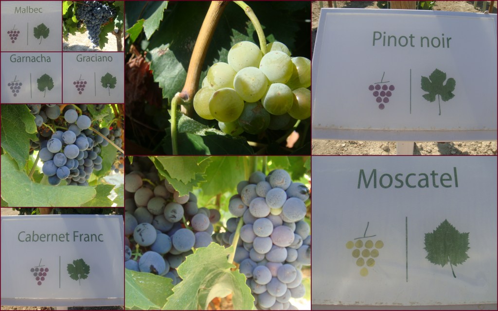 Working folder Luis Perez2