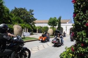Patio de Bodeas Osborne