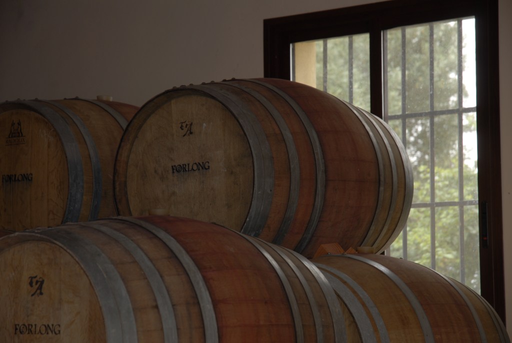 José Mª Córdoba 1