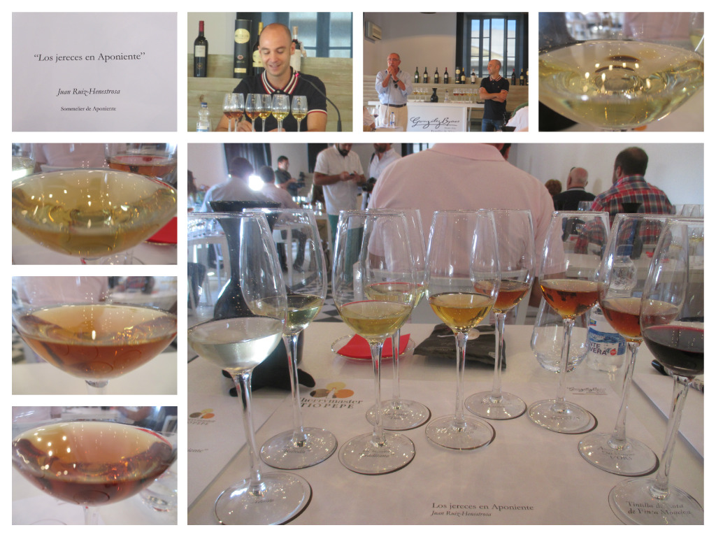 Collage jereces aponiente