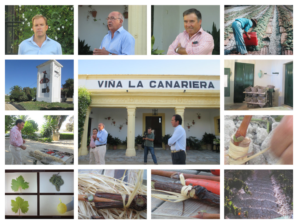 Collage La canariera