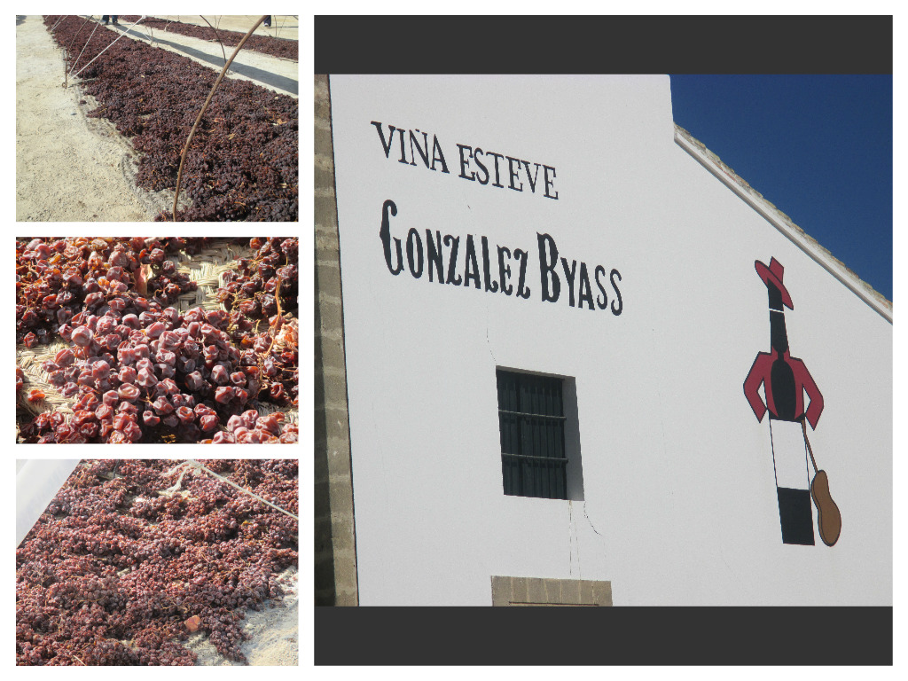 Collage Viña Estevez