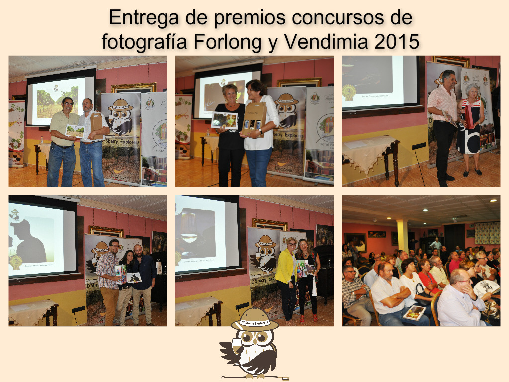 Collage premios fotos