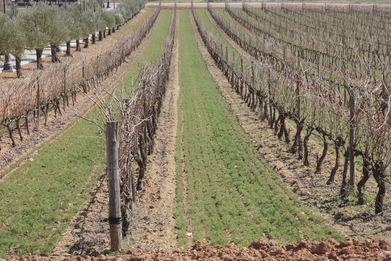 150311-141516-04788Callejo - copia