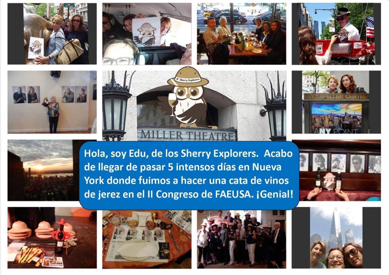 Edu, the mascot of the Sherry Explorers, in New&nbsp;York.