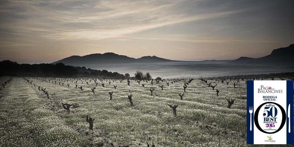 Pago Los Balancines 2