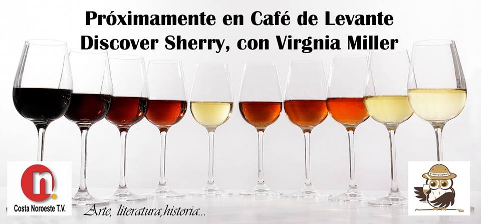 Café Levante teaser