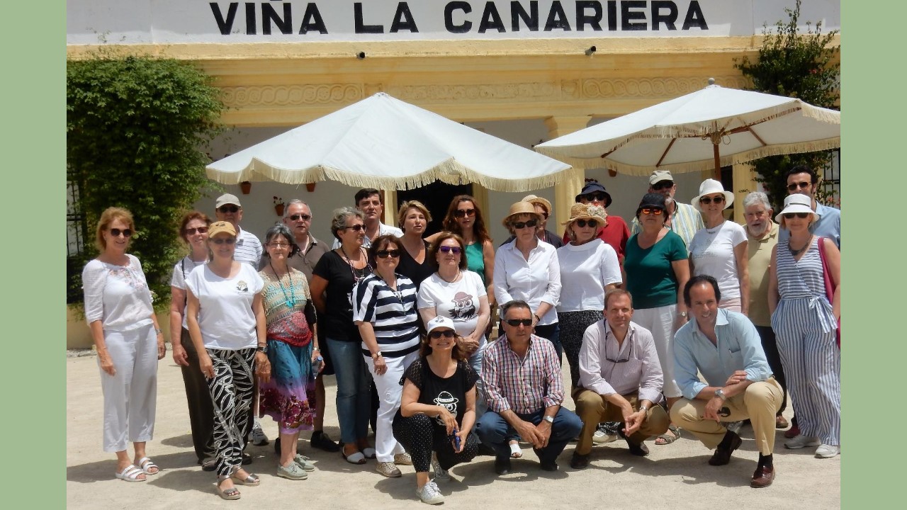 D´Sherry Explorers: Clase magistral sobre la viña en La Canariera/ Master Class regarding vineyards at La Canariera&nbsp;Vineyard