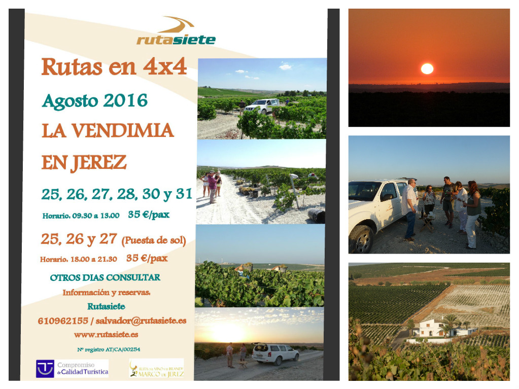 Discover Sherry recommends: Con Rutasiete por las viñas / Throughout the vineyards with&nbsp;Rutasiete