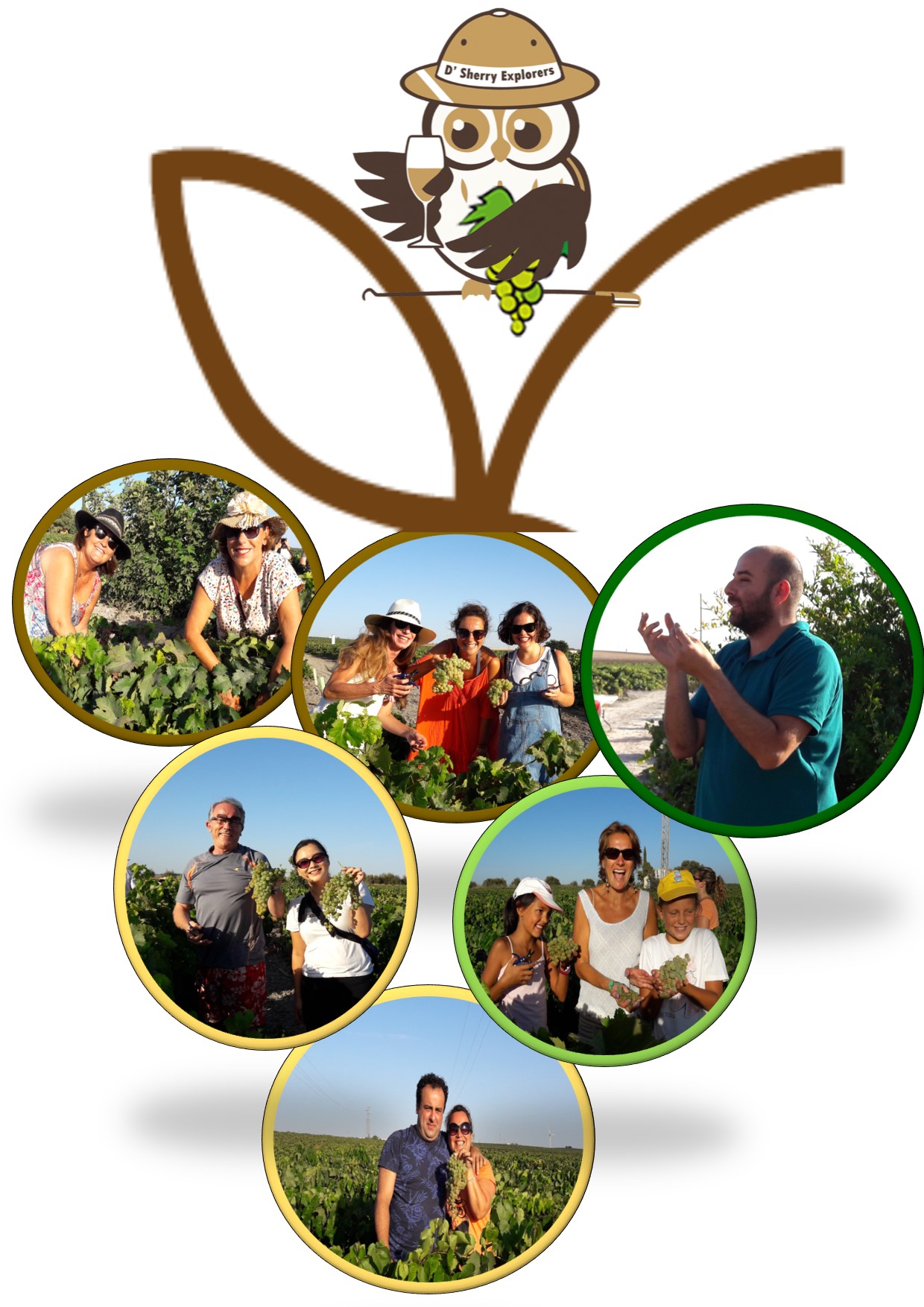 Fantástico segundo día de Vendimia de los Sherry Explorers/The Fantastic Second-Day of the Sherry Explorer&nbsp;Harvest