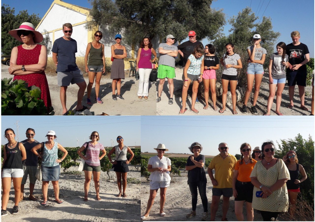 Video del primer día de vendimia de los Sherry&nbsp;Explorers