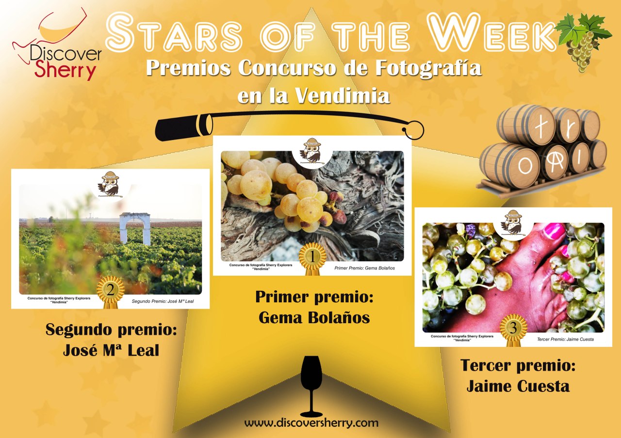 Stars of the Week: Ganadores concurso fotografía Vendimia /  Winners of the Grape Harvest Photo&nbsp;contest