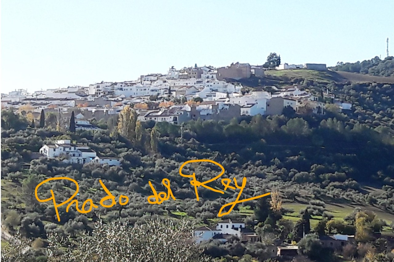 Visita de los enogastroblogers a PRADO DEL REY / An Eno-gastro bloggers´visit to PRADO DEL&nbsp;REY