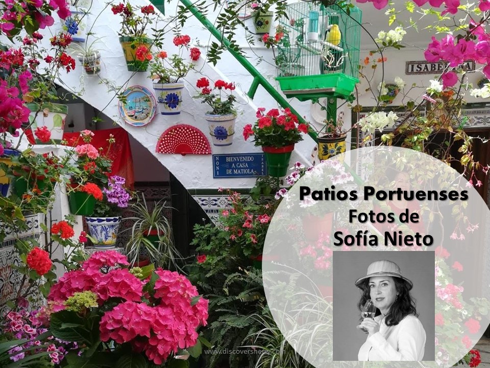 Paseo por algunos Patios Portuenses con Sofía Nieto. Taking a walk thorough the El Puerto Patios with Sofía&nbsp;Nieto.