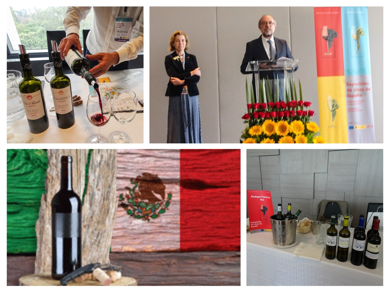 XIII Exposición de vinos de España en la Ciudad de México.&nbsp;(Spanish)