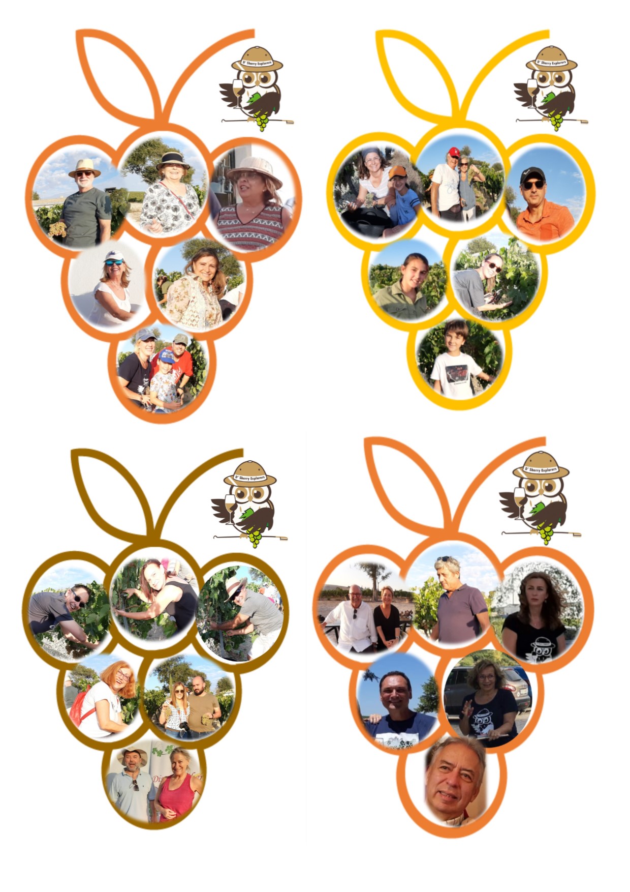 VENDIMIA DE LOS SHERRY EXPLORERS 2019