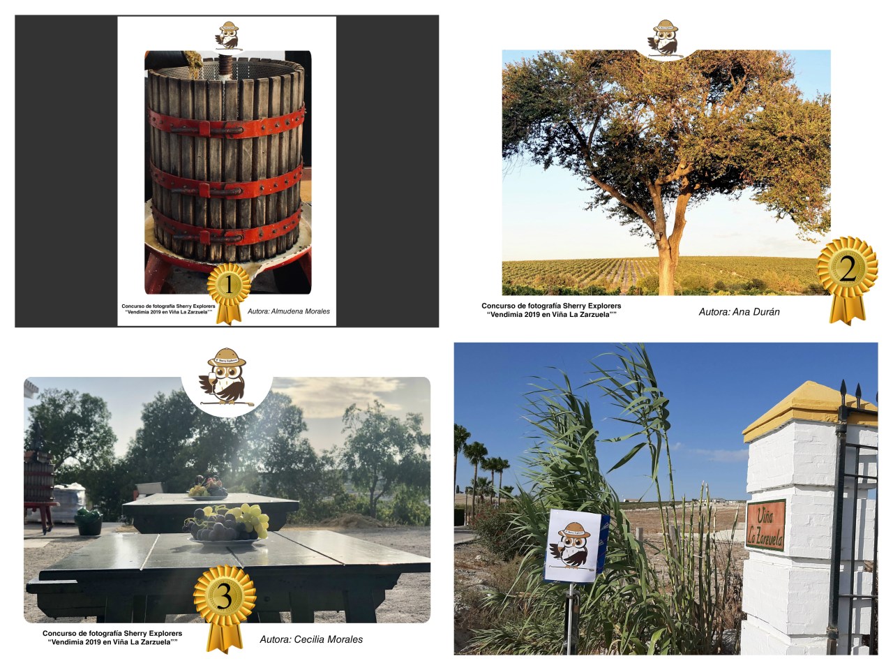 Fotos ganadoras del Concurso de Fotografía de la Vendimia&nbsp;/