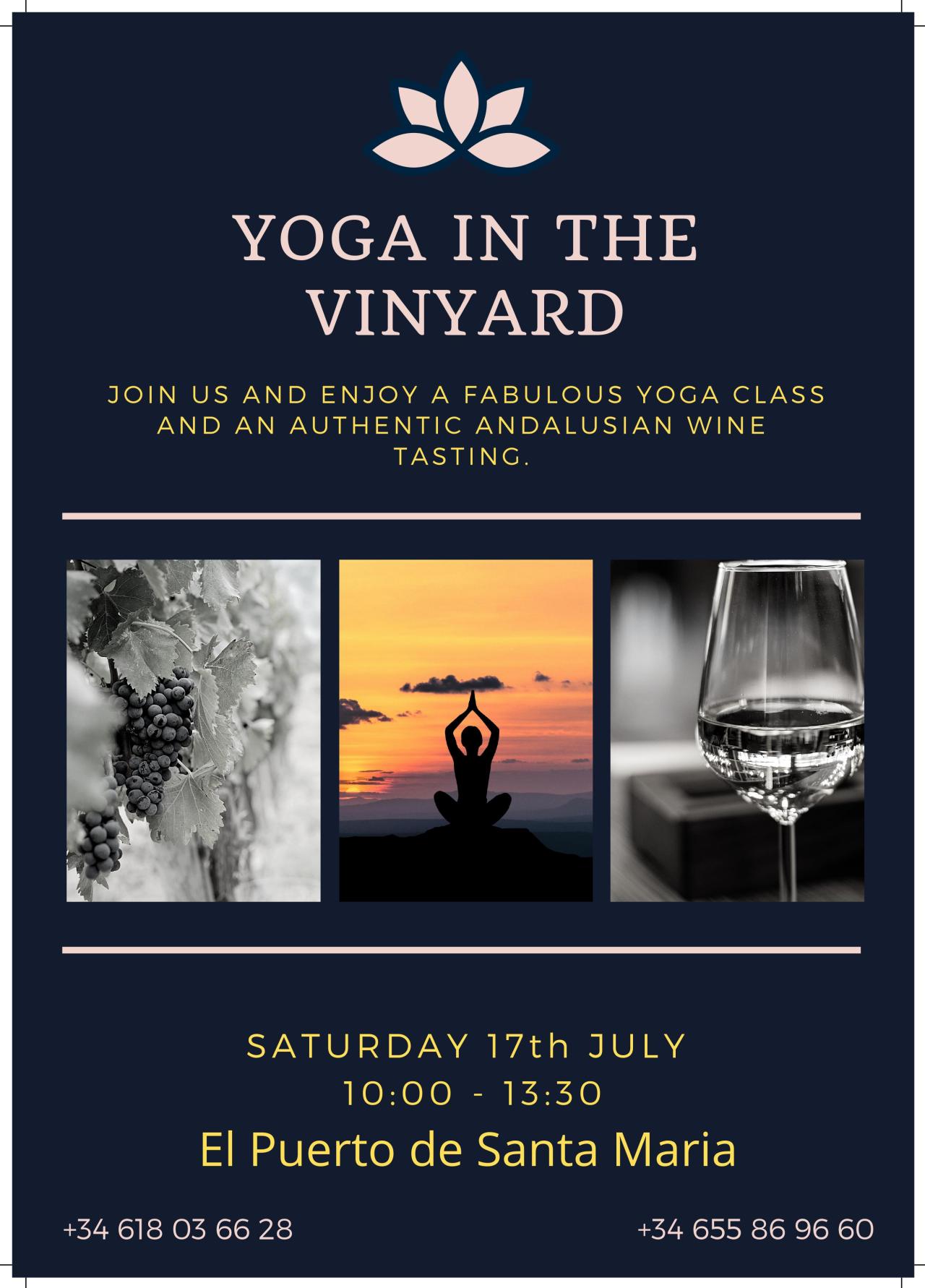 DISCOVER SHERRY recommends:     YOGA in the VINEYARD / YOGA en la VIÑA     organizado por nuestra Sherry Explorer: Adriane&nbsp;Anderson