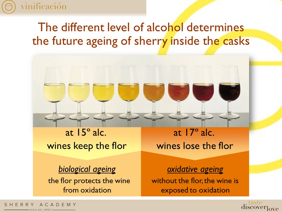 RESULTS FOR SHERRY EXPLORERS´TEST&nbsp;2