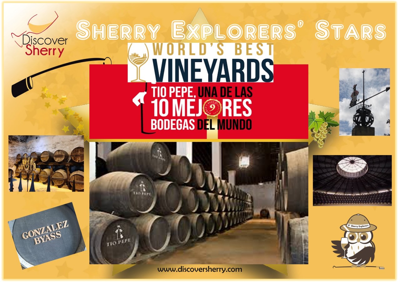 World’s Best Vineyards