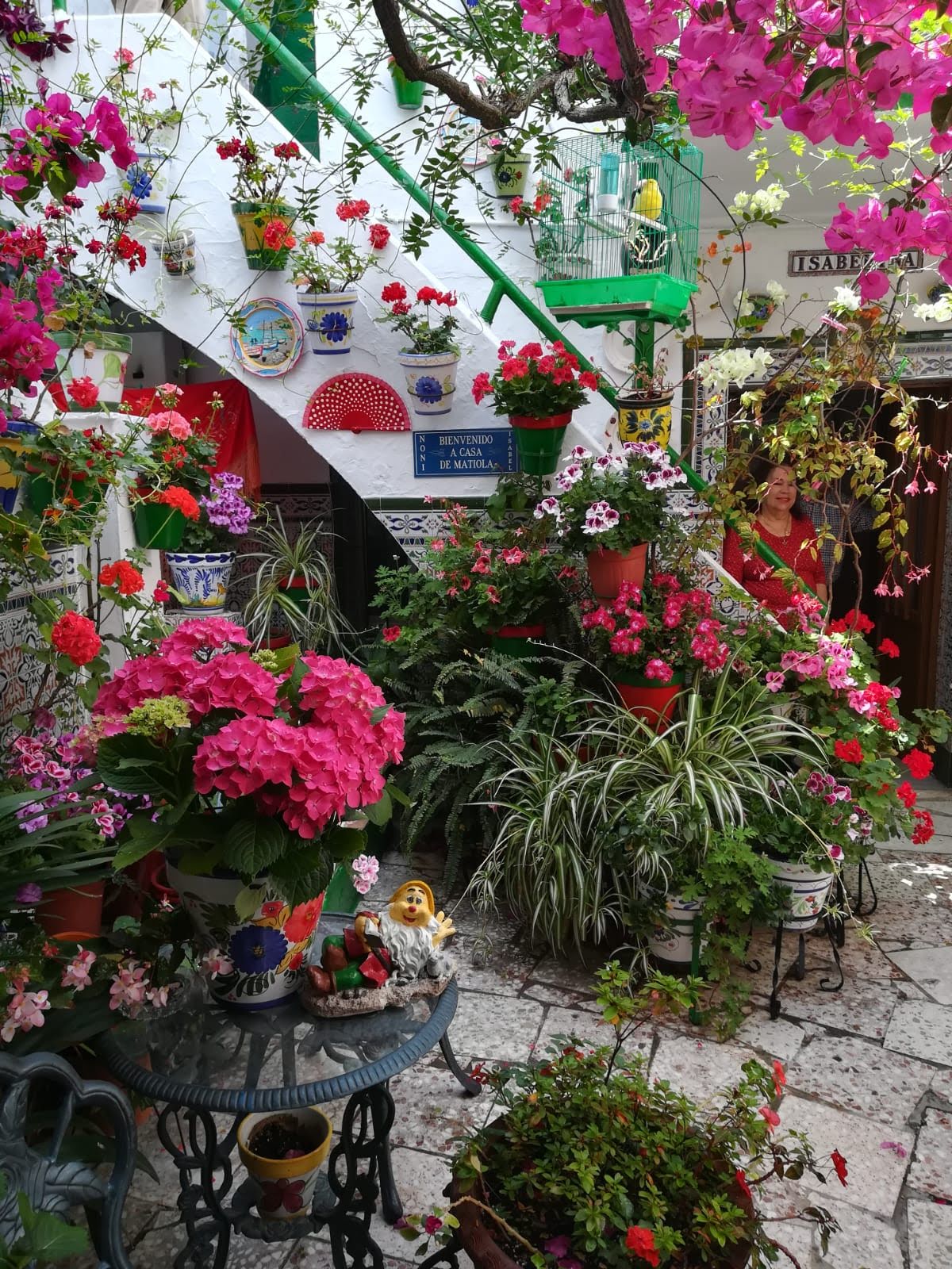 Invitación a la presentación de la Fiesta de los Patios Portuenses / Invitation to the presentation of the Festival of the El Puerto&nbsp;Patios.