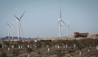 Discover Sherry recommends: El origen del Marco está en el viñedo, pero nos&nbsp;olvidamos