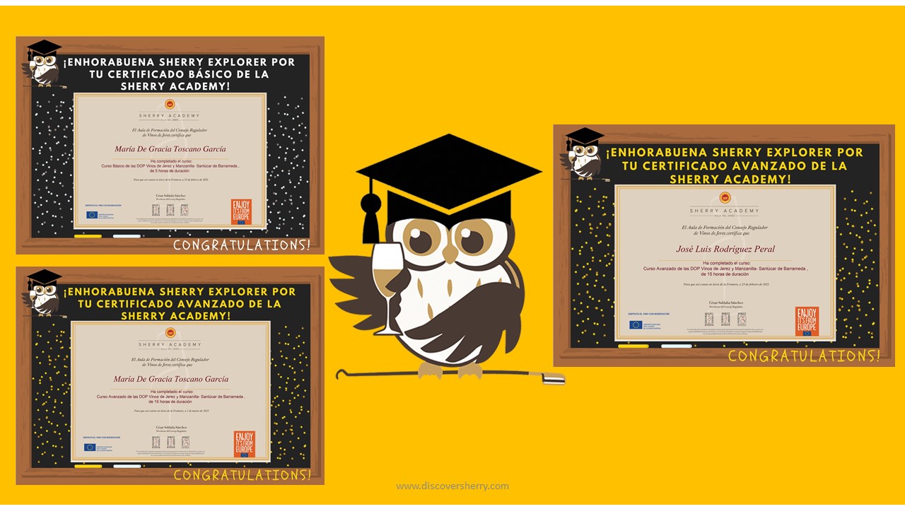 ¡Buen trabajo Sherry Explorers por los certificados de la Sherry&nbsp;Academy!