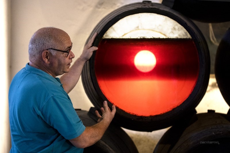 Rafael Arnedo: “La Palomino no es una variedad de perfil aromático, pero en cambio es una variedad muy noble”
