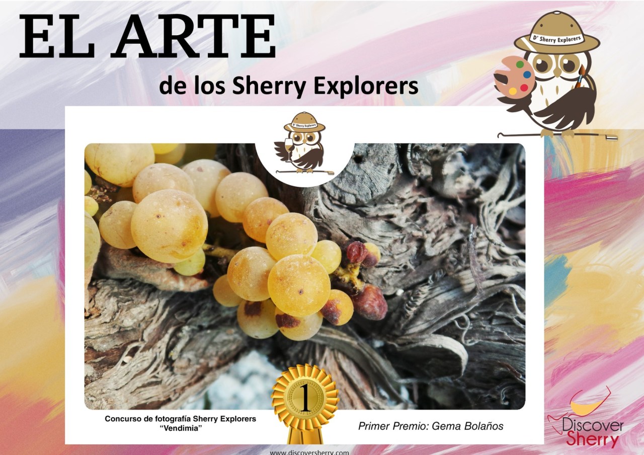 El Arte de los Sherry Explorers: Gema&nbsp;Bolaños
