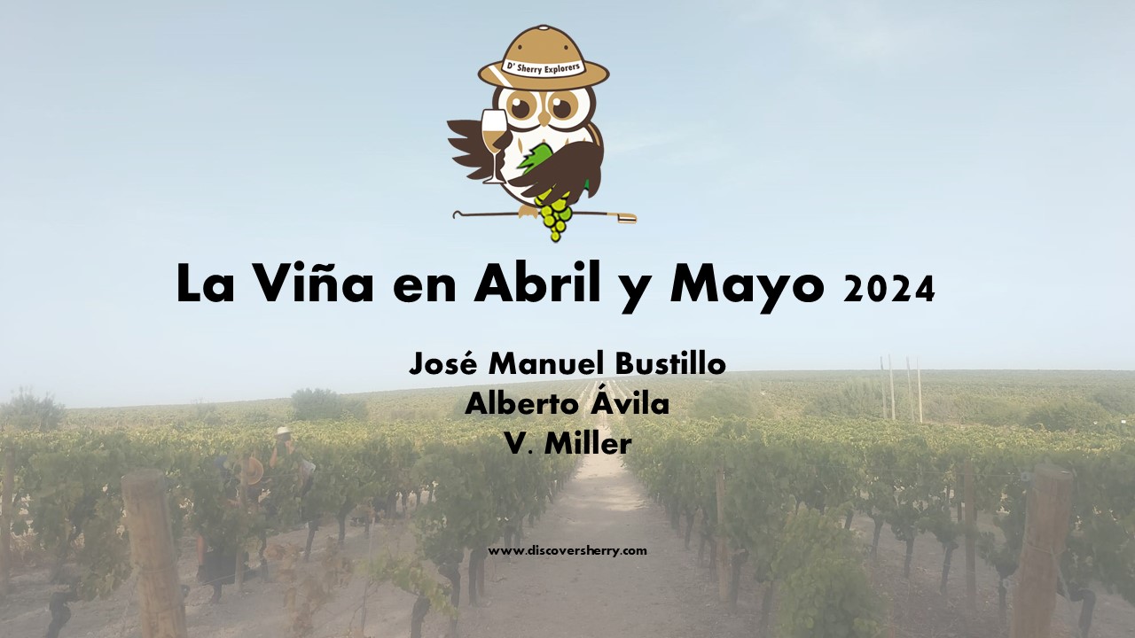 La Viña en Abril y Mayo. The Vineyard in April and&nbsp;May.