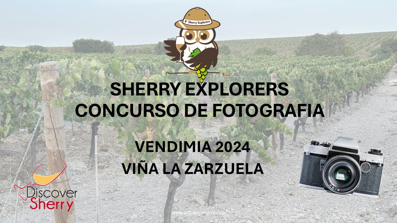 CONCURSO DE FOTOGRAFÍA VENDIMIA&nbsp;2024.
