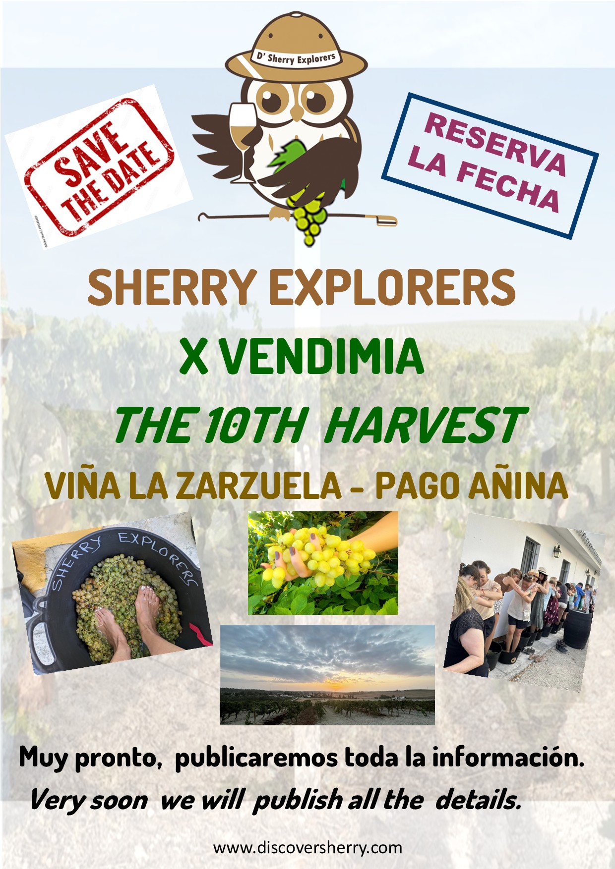 SHERRY EXPLORERS,  ¿Listos para la decima Vendimia? Ready for the10th&nbsp;Harvest?